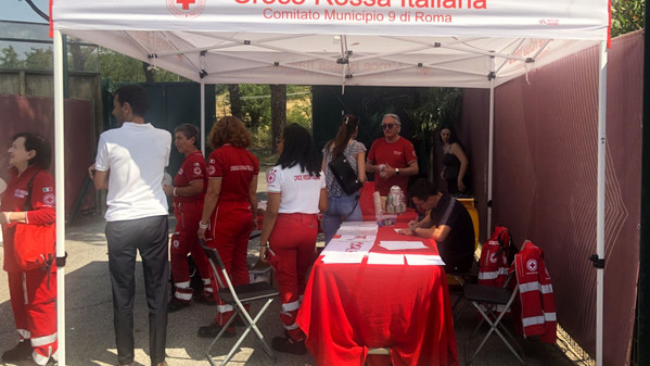 8e7a15159fad-img2975ok